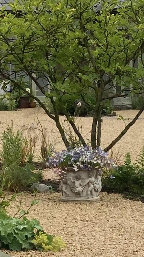 The Garden Rooms At The Courtyard,Townley Hall Drogheda Eksteriør billede